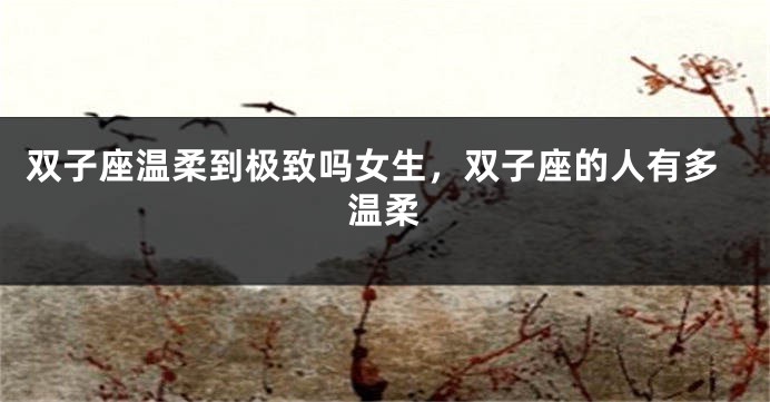 双子座温柔到极致吗女生，双子座的人有多温柔
