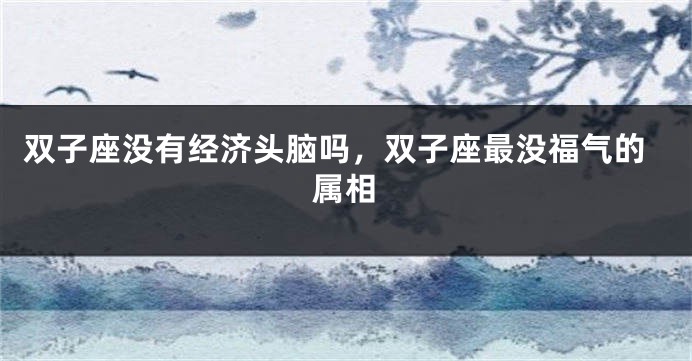 双子座没有经济头脑吗，双子座最没福气的属相