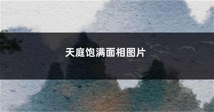 天庭饱满面相图片