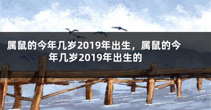属鼠的今年几岁2019年出生，属鼠的今年几岁2019年出生的