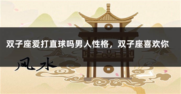 双子座爱打直球吗男人性格，双子座喜欢你