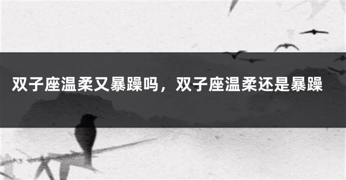 双子座温柔又暴躁吗，双子座温柔还是暴躁