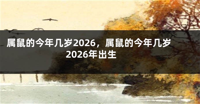 属鼠的今年几岁2026，属鼠的今年几岁2026年出生