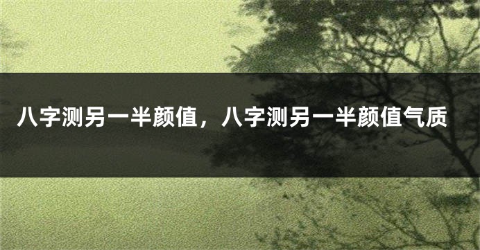 八字测另一半颜值，八字测另一半颜值气质