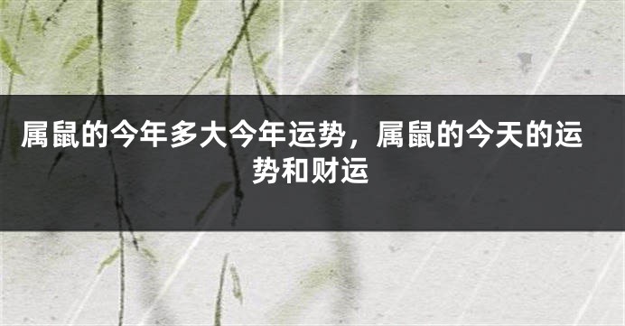 属鼠的今年多大今年运势，属鼠的今天的运势和财运
