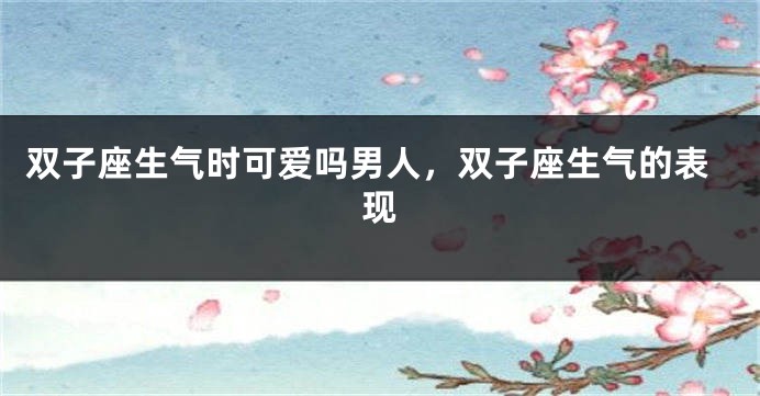 双子座生气时可爱吗男人，双子座生气的表现