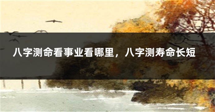 八字测命看事业看哪里，八字测寿命长短