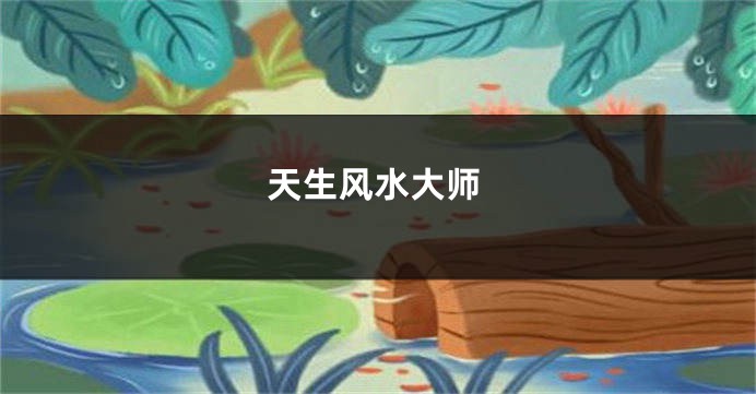 天生风水大师