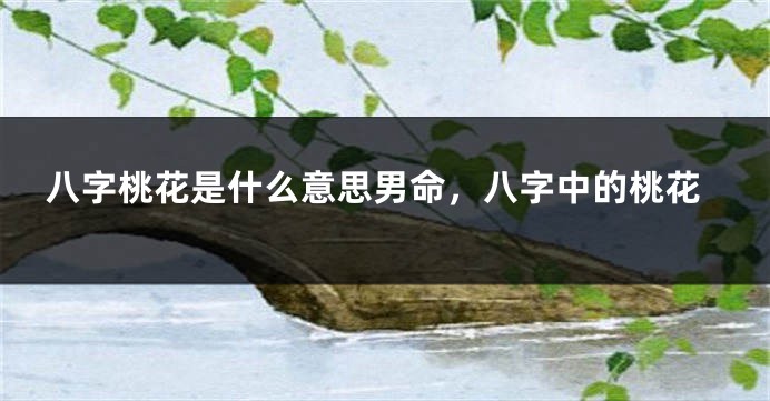 八字桃花是什么意思男命，八字中的桃花