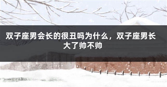 双子座男会长的很丑吗为什么，双子座男长大了帅不帅