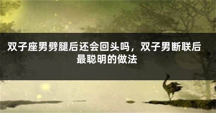 双子座男劈腿后还会回头吗，双子男断联后最聪明的做法