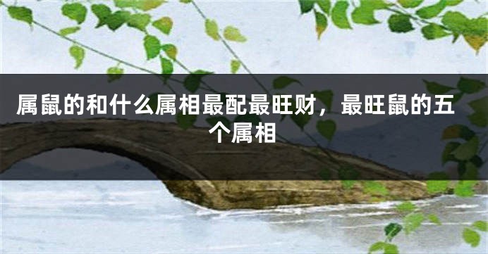属鼠的和什么属相最配最旺财，最旺鼠的五个属相
