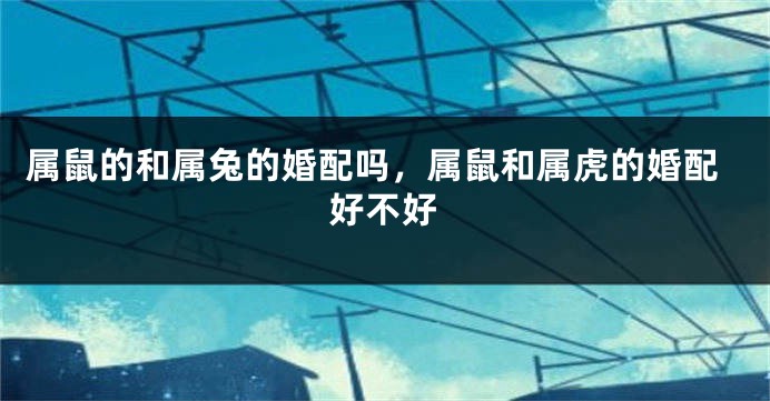 属鼠的和属兔的婚配吗，属鼠和属虎的婚配好不好