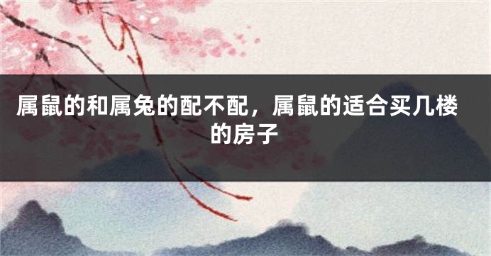属鼠的和属兔的配不配，属鼠的适合买几楼的房子