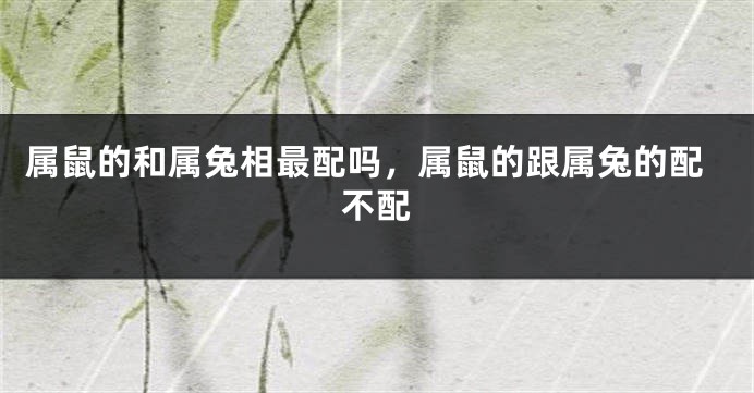 属鼠的和属兔相最配吗，属鼠的跟属兔的配不配