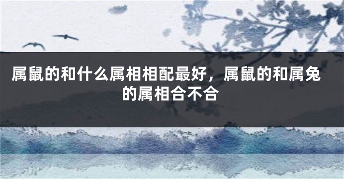 属鼠的和什么属相相配最好，属鼠的和属兔的属相合不合