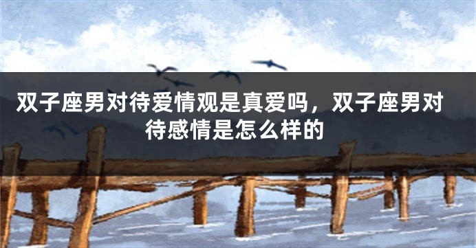 双子座男对待爱情观是真爱吗，双子座男对待感情是怎么样的
