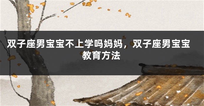 双子座男宝宝不上学吗妈妈，双子座男宝宝教育方法