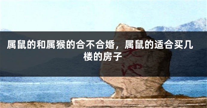 属鼠的和属猴的合不合婚，属鼠的适合买几楼的房子