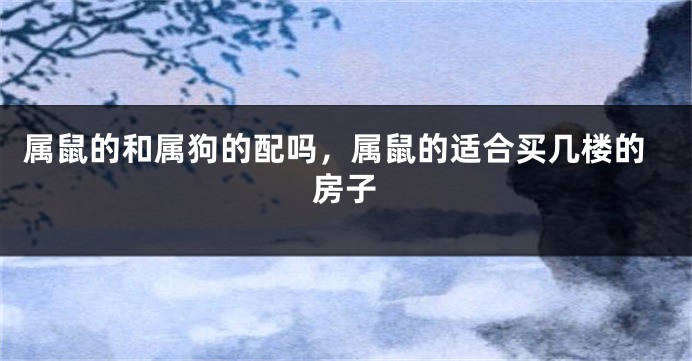 属鼠的和属狗的配吗，属鼠的适合买几楼的房子