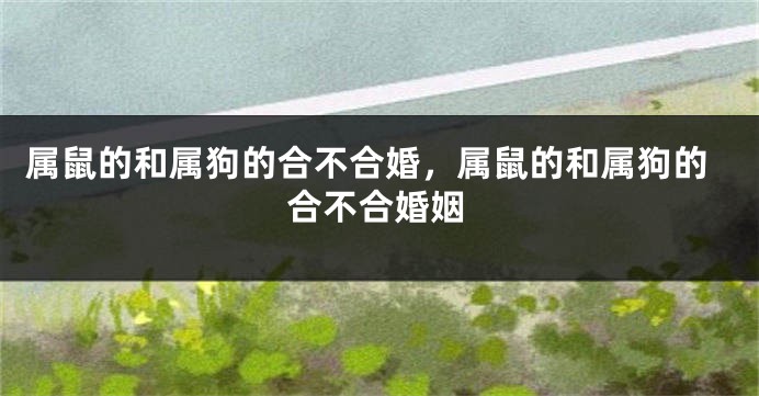 属鼠的和属狗的合不合婚，属鼠的和属狗的合不合婚姻