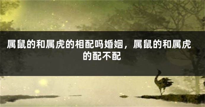属鼠的和属虎的相配吗婚姻，属鼠的和属虎的配不配