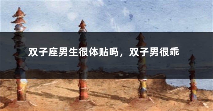 双子座男生很体贴吗，双子男很乖