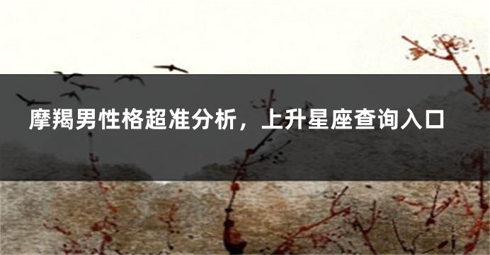 摩羯男性格超准分析，上升星座查询入口