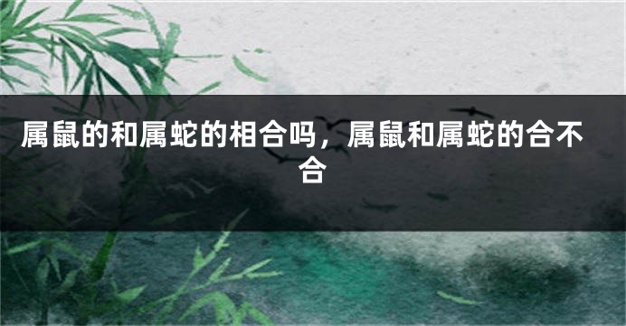 属鼠的和属蛇的相合吗，属鼠和属蛇的合不合