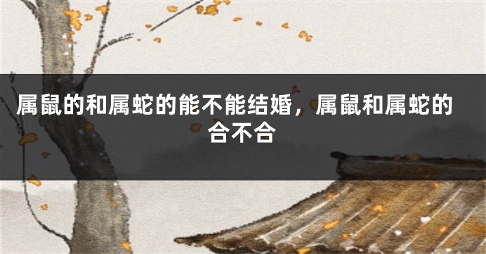 属鼠的和属蛇的能不能结婚，属鼠和属蛇的合不合