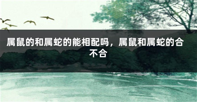 属鼠的和属蛇的能相配吗，属鼠和属蛇的合不合