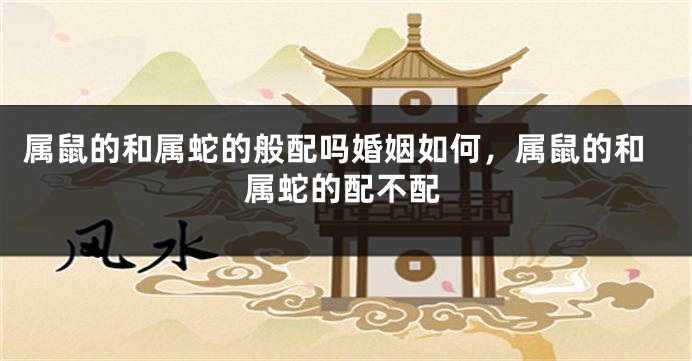 属鼠的和属蛇的般配吗婚姻如何，属鼠的和属蛇的配不配