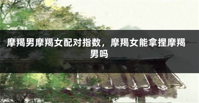 摩羯男摩羯女配对指数,摩羯女能拿捏摩羯男吗