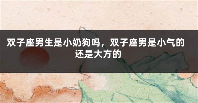 双子座男生是小奶狗吗，双子座男是小气的还是大方的