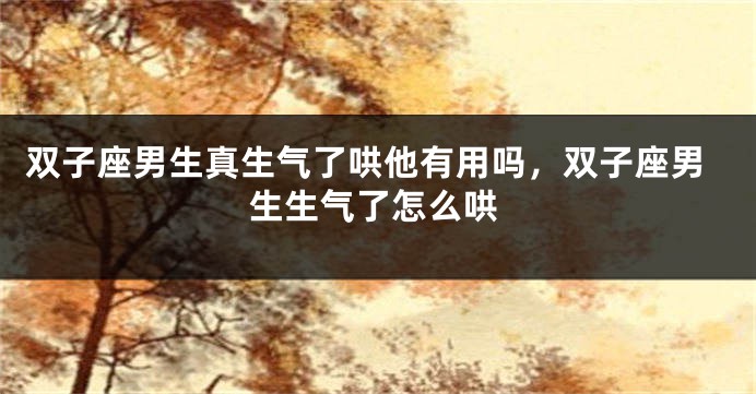 双子座男生真生气了哄他有用吗，双子座男生生气了怎么哄
