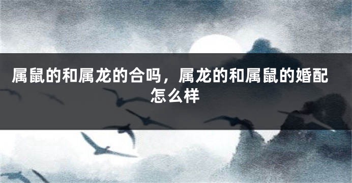 属鼠的和属龙的合吗，属龙的和属鼠的婚配怎么样