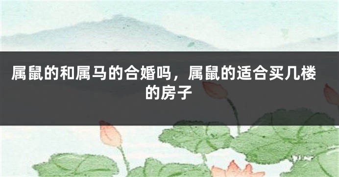 属鼠的和属马的合婚吗，属鼠的适合买几楼的房子