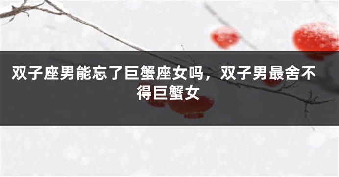 双子座男能忘了巨蟹座女吗，双子男最舍不得巨蟹女