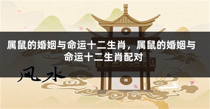 属鼠的婚姻与命运十二生肖，属鼠的婚姻与命运十二生肖配对