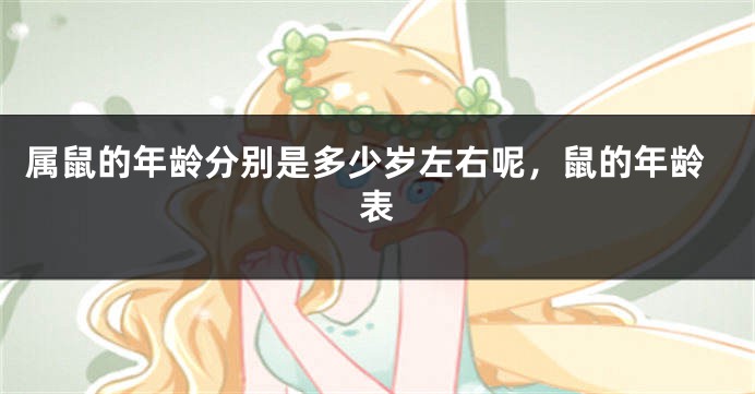 属鼠的年龄分别是多少岁左右呢，鼠的年龄表