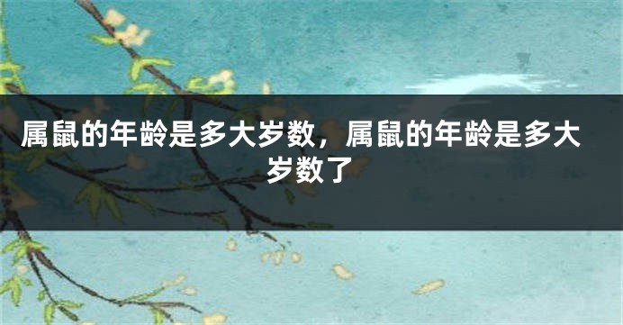属鼠的年龄是多大岁数，属鼠的年龄是多大岁数了