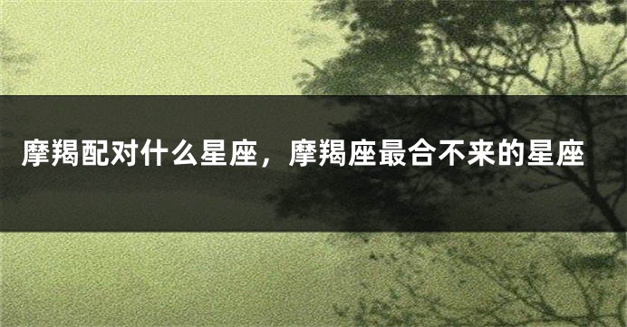 摩羯配对什么星座，摩羯座最合不来的星座