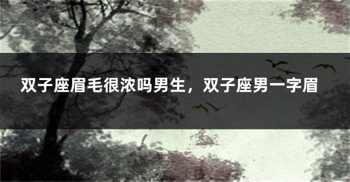 双子座眉毛很浓吗男生，双子座男一字眉