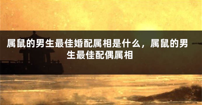 属鼠的男生最佳婚配属相是什么，属鼠的男生最佳配偶属相