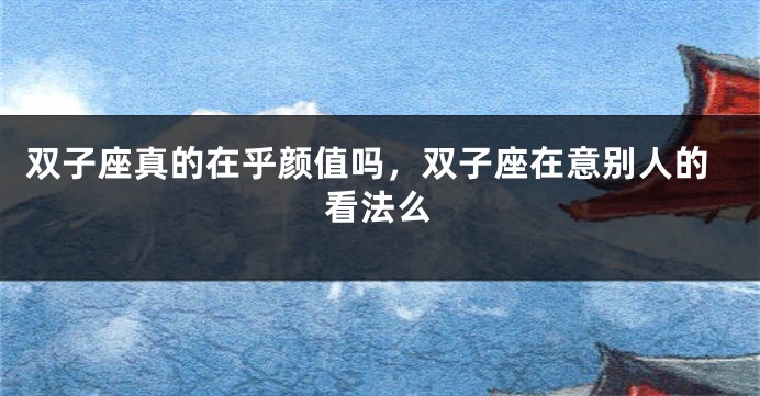 双子座真的在乎颜值吗，双子座在意别人的看法么