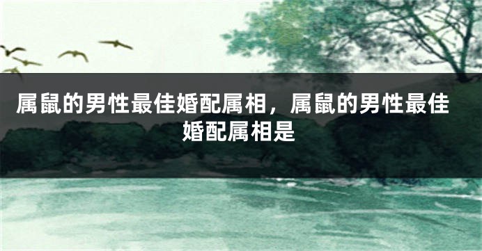 属鼠的男性最佳婚配属相，属鼠的男性最佳婚配属相是