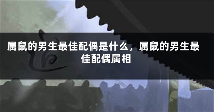 属鼠的男生最佳配偶是什么，属鼠的男生最佳配偶属相