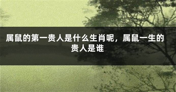 属鼠的第一贵人是什么生肖呢，属鼠一生的贵人是谁