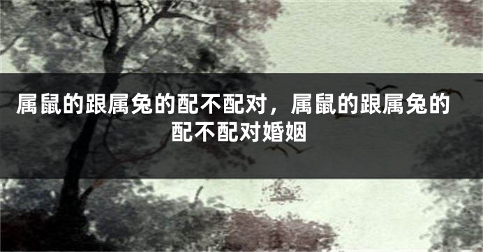 属鼠的跟属兔的配不配对，属鼠的跟属兔的配不配对婚姻