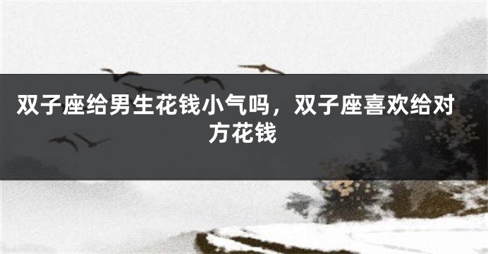 双子座给男生花钱小气吗，双子座喜欢给对方花钱